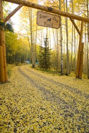 1075 Wilson Mesa Ranch Circle Telluride Colorado 81430