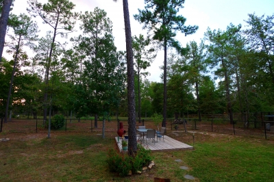 Deck and Back Yard